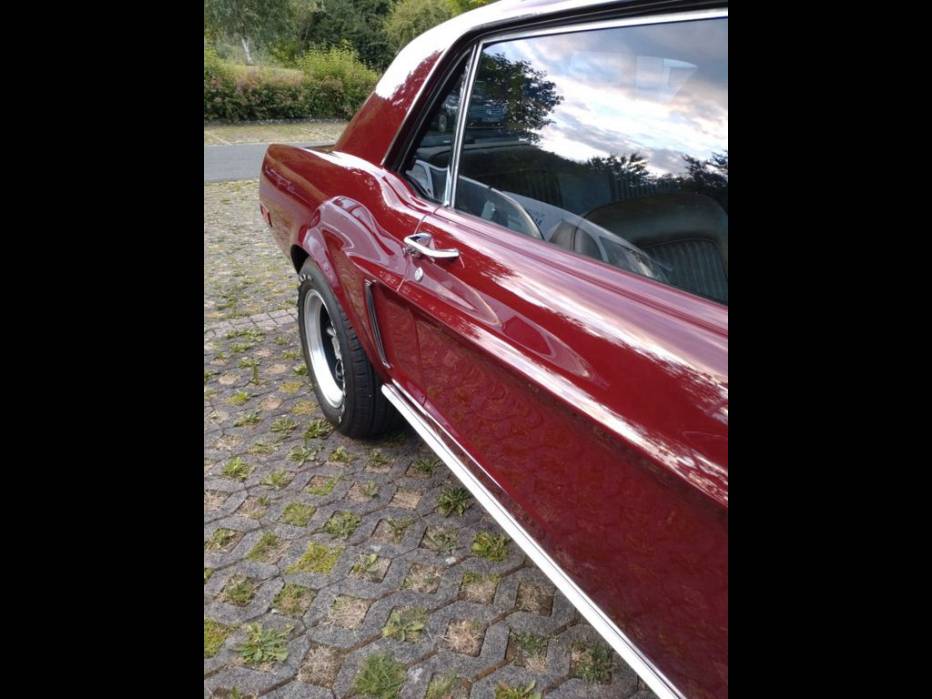 Image 3/16 of Ford Mustang GT 390 (1968)