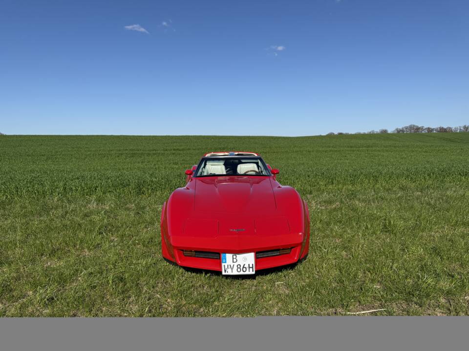 Image 7/20 of Chevrolet Corvette Sting Ray (1980)