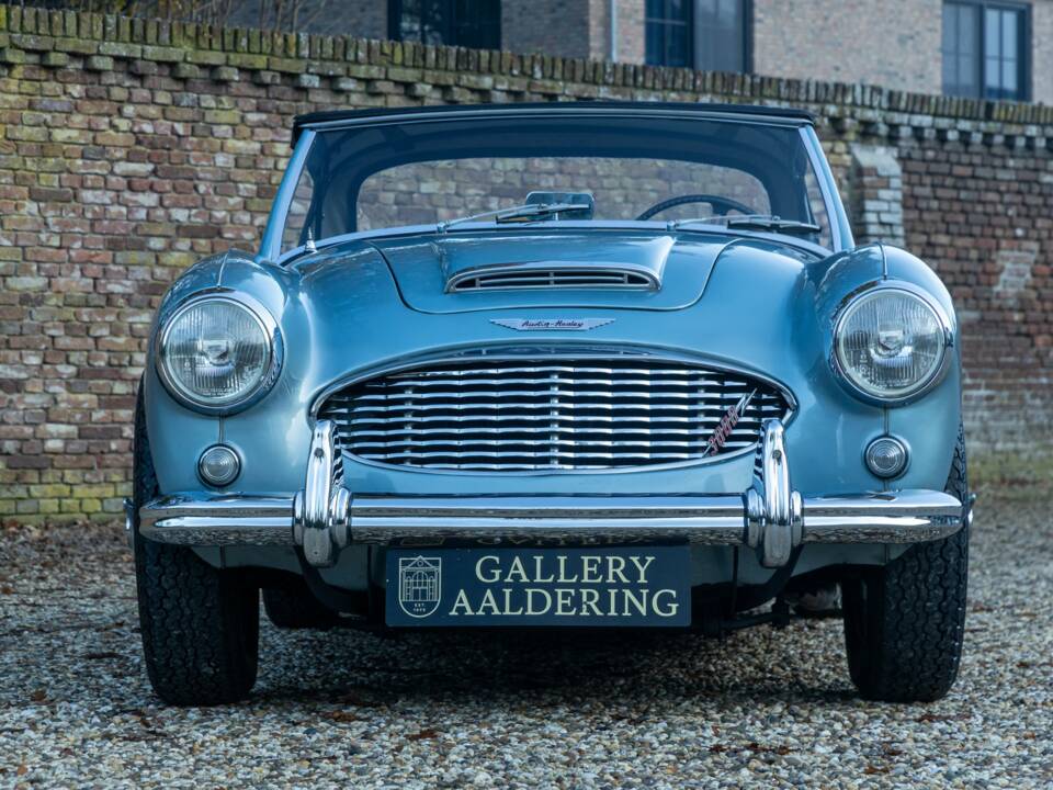 Bild 5/50 von Austin-Healey 3000 Mk I (BN7) (1960)