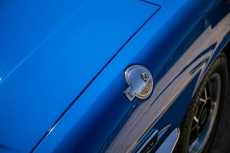 Image 34/49 de Triumph Stag (1977)