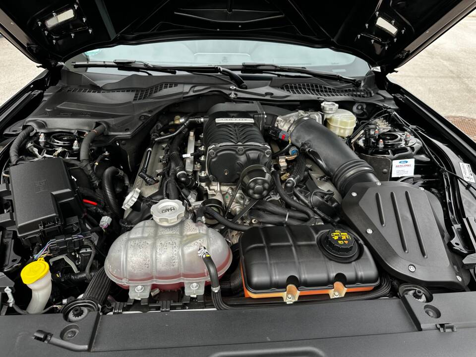 Image 41/44 of Ford Shelby GT/H (2017)
