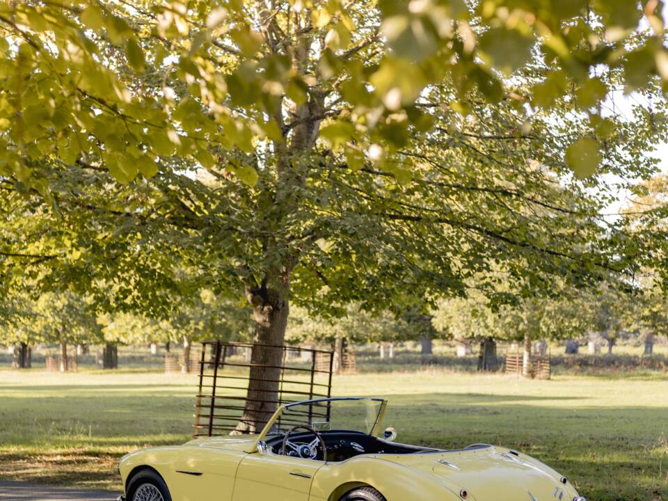 Bild 14/50 von Austin-Healey 3000 Mk I (BT7) (1960)
