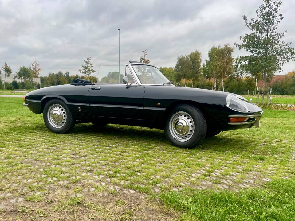 Bild 6/24 von Alfa Romeo 1600 Duetto (1966)