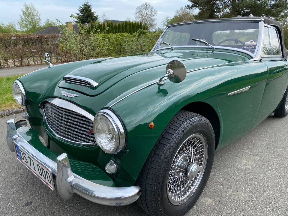 Bild 9/24 von Austin-Healey 100/6 (BN4) (1959)