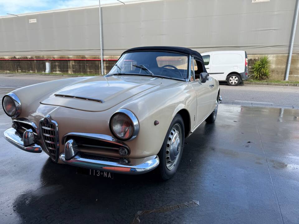 Bild 2/16 von Alfa Romeo Giulia 1600 Spider (1962)