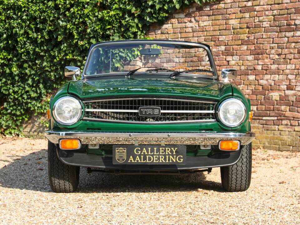 Immagine 24/50 di Triumph TR 6 (1976)