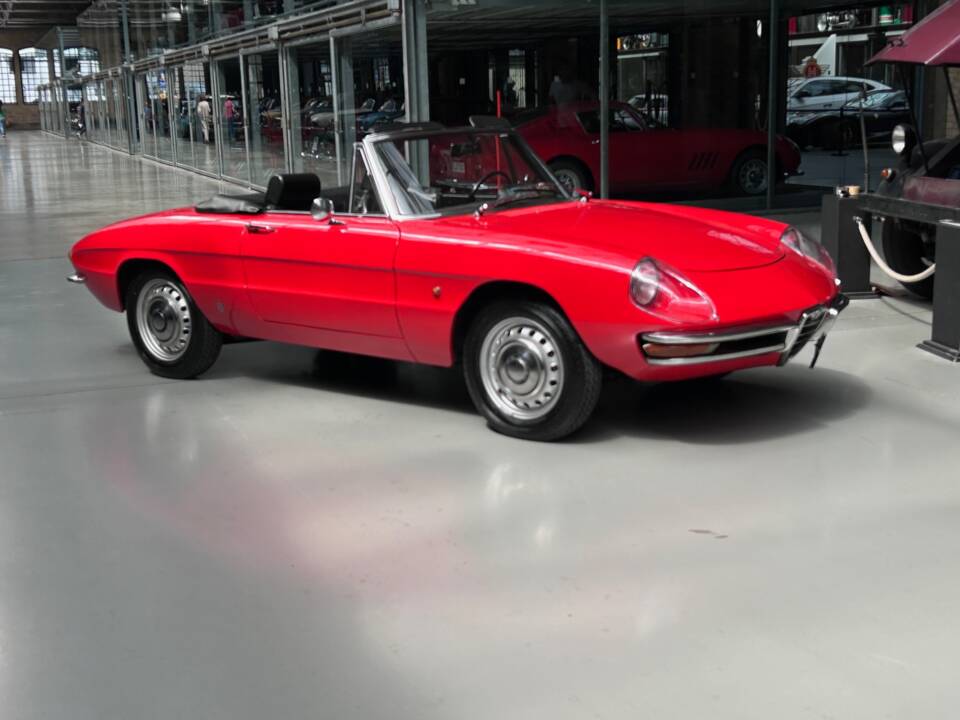 Immagine 3/30 di Alfa Romeo 1600 Spider Duetto (1966)