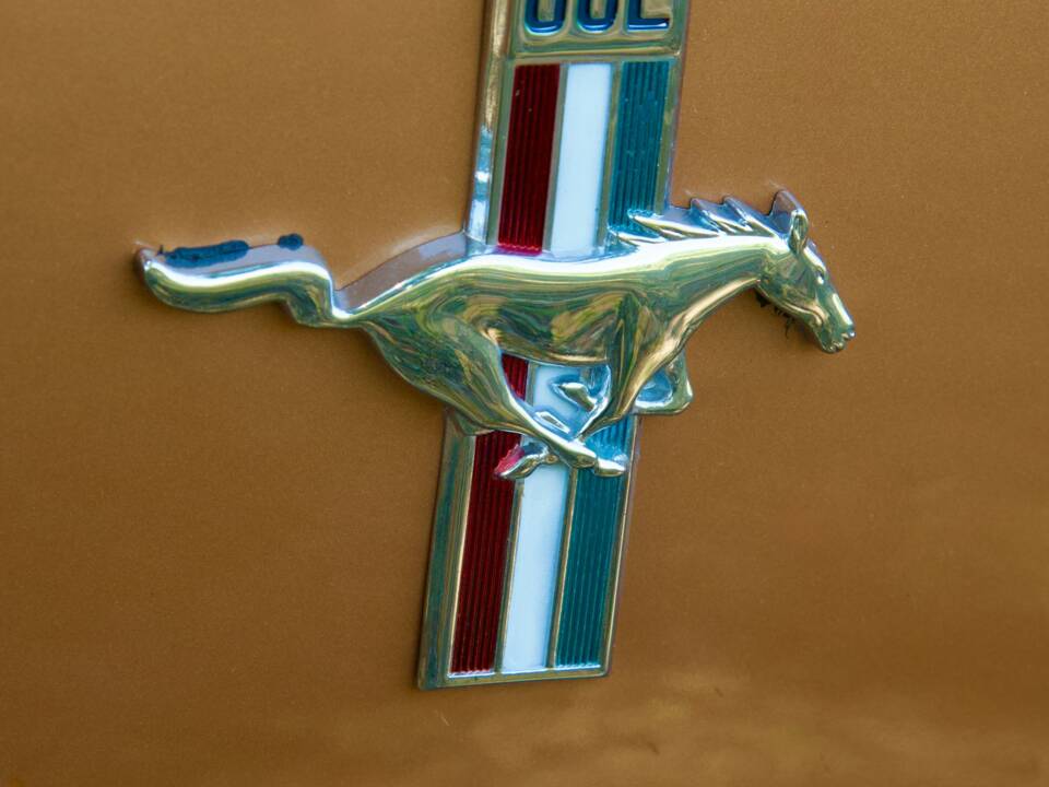 Afbeelding 17/58 van Ford Mustang 289 (1967)