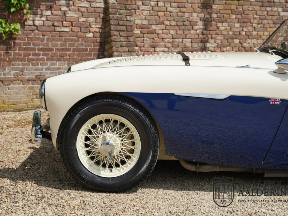 Bild 42/50 von Austin-Healey 100&#x2F;4 (BN1) (1954)