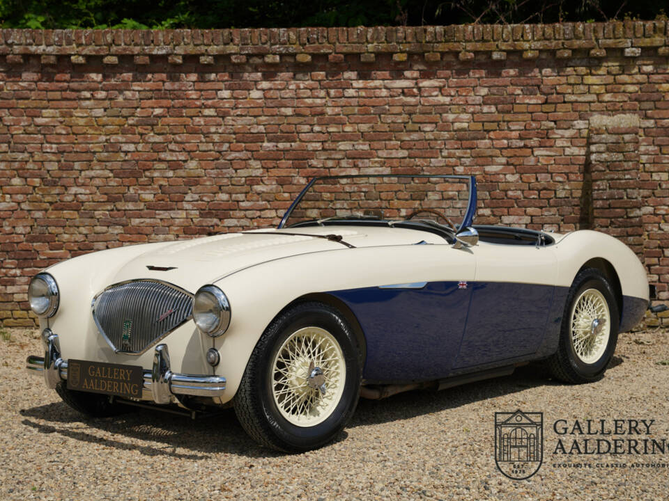 Afbeelding 1/50 van Austin-Healey 100&#x2F;4 (BN1) (1954)