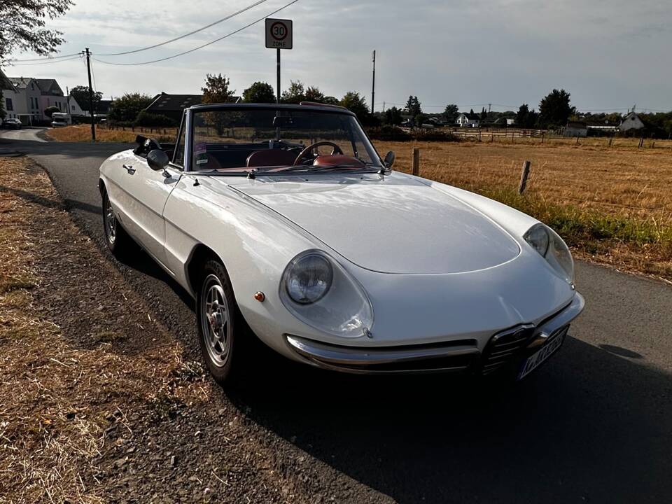 Afbeelding 13/19 van Alfa Romeo 1750 Spider (1969)