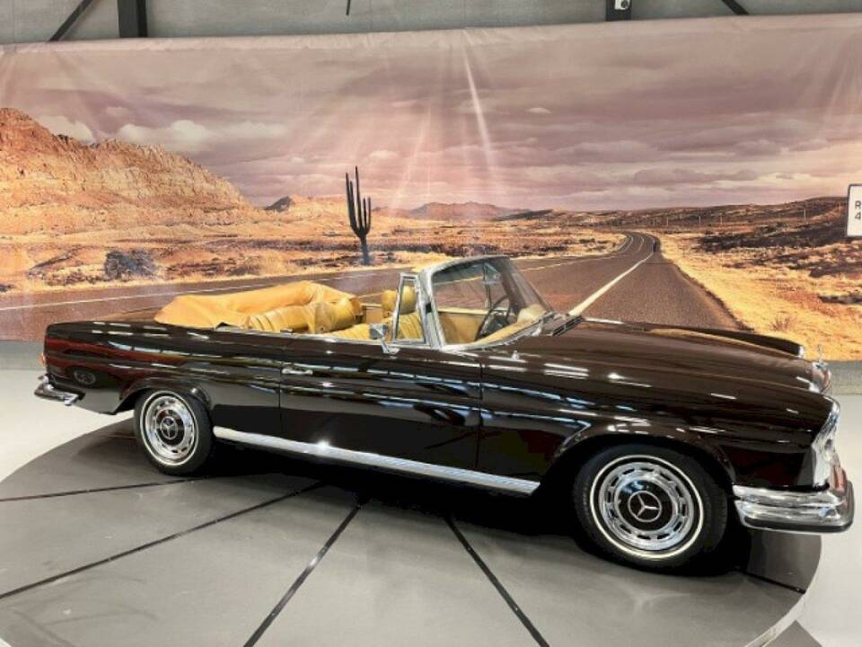 Bild 9/36 von Mercedes-Benz 280 SE 3,5 (1970)