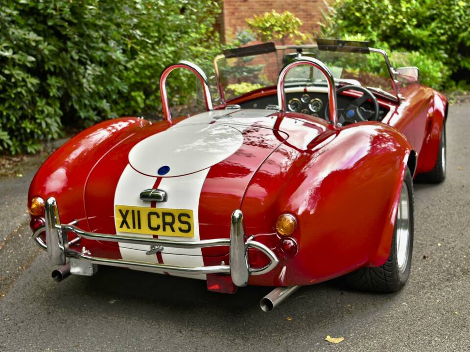 Image 16/50 de AC Cobra 289 (2000)