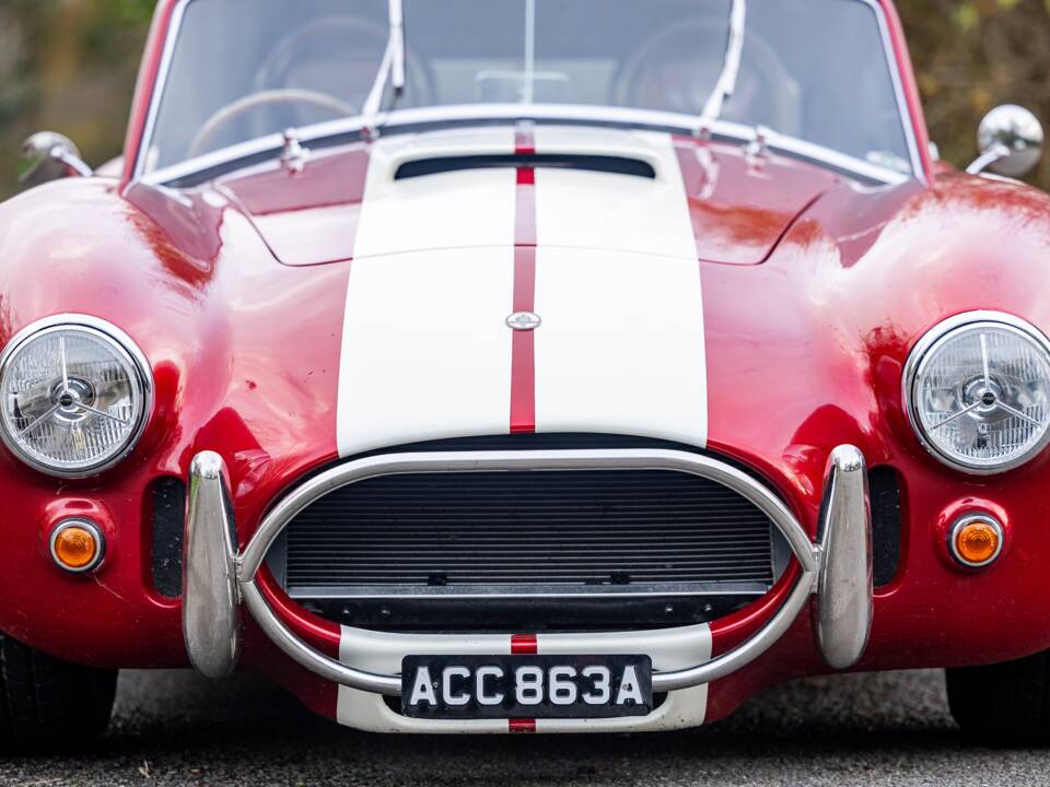 Afbeelding 34/50 van AC Cobra 289 (2000)