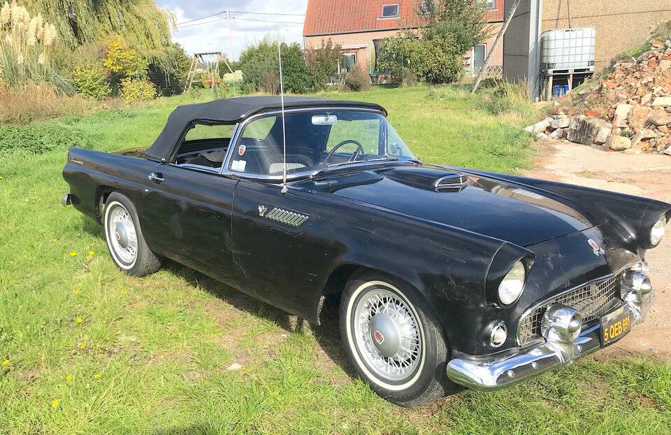 Bild 3/8 von Ford Thunderbird (1955)