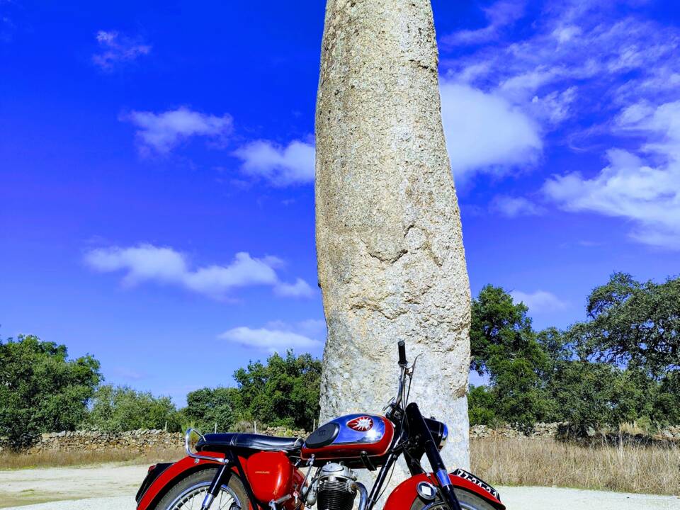 Image 41/51 of BSA B 44 (1966)