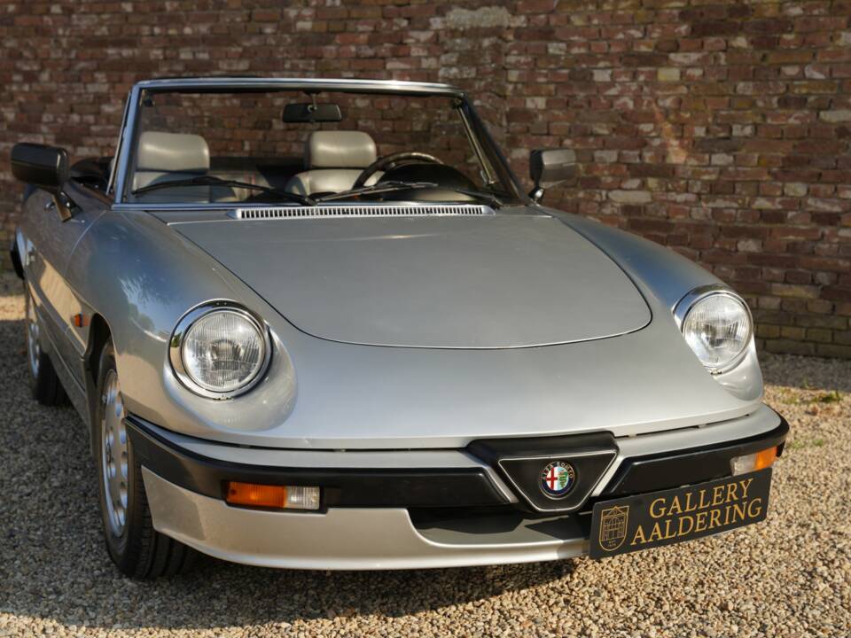 Afbeelding 50/50 van Alfa Romeo 2.0 Spider QV (1987)