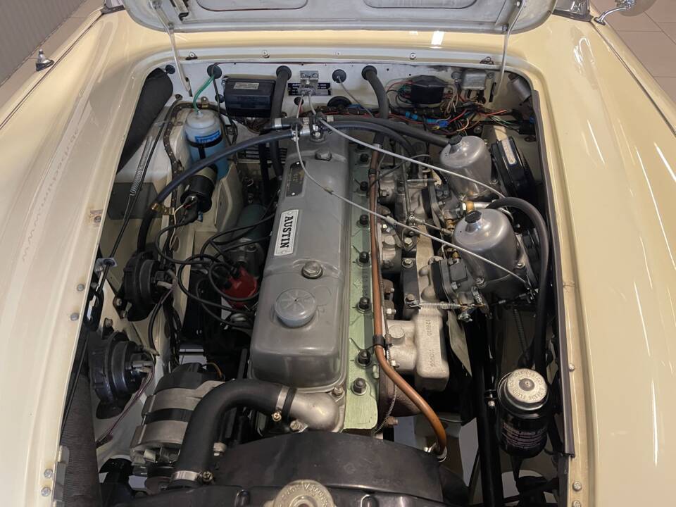 Bild 4/15 von Austin-Healey 3000 Mk III (BJ8) (1965)