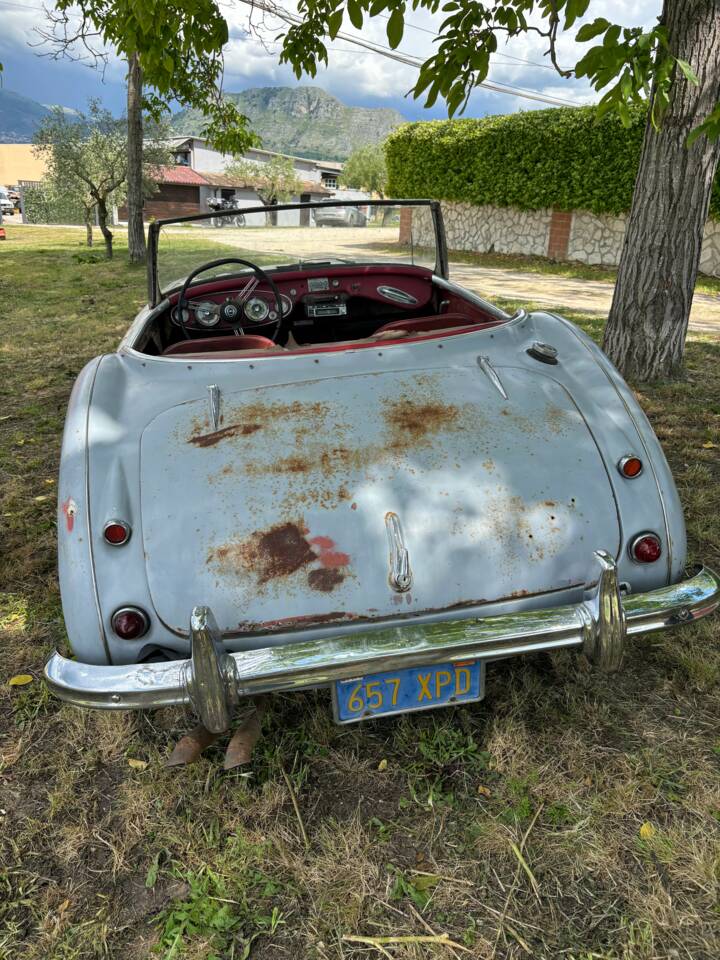 Bild 3/19 von Austin-Healey 3000 Mk I (BN7) (1960)