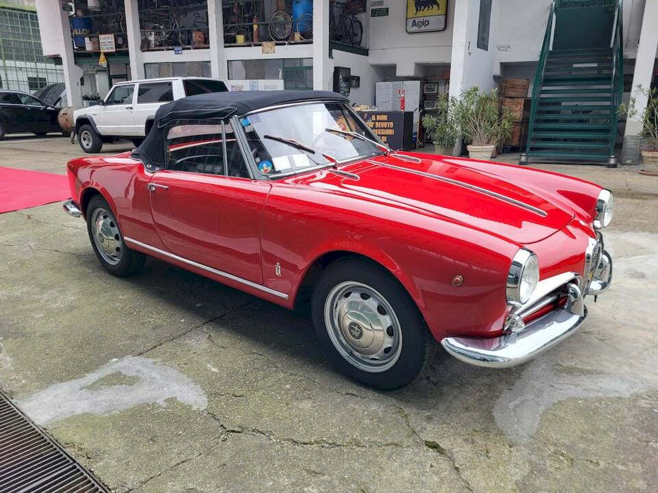 Image 55/65 of Alfa Romeo Giulietta Spider (1962)