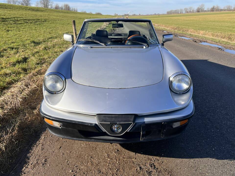 Afbeelding 3/8 van Alfa Romeo 2.0 Spider (1987)