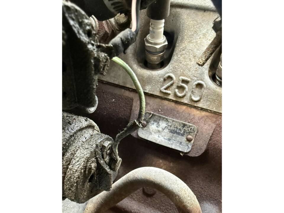 Bild 40/50 von Mercedes-Benz 250 SL (1967)