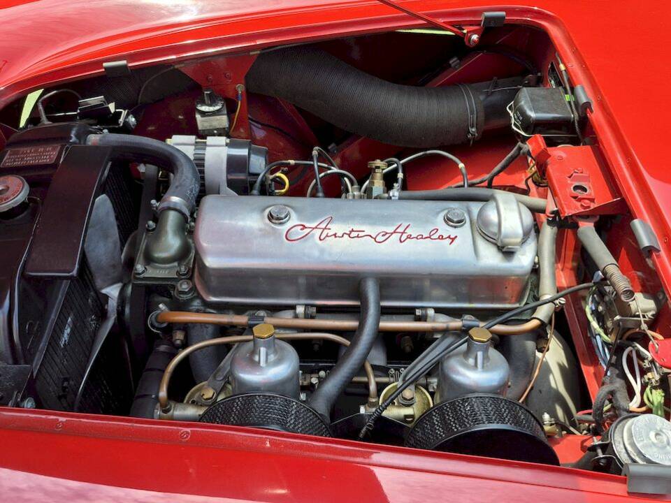 Bild 39/62 von Austin-Healey 100&#x2F;4 (BN1) (1954)