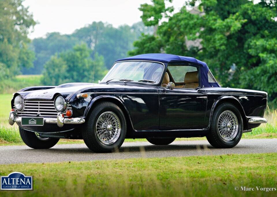 Immagine 15/36 di Triumph TR 4A IRS (1966)