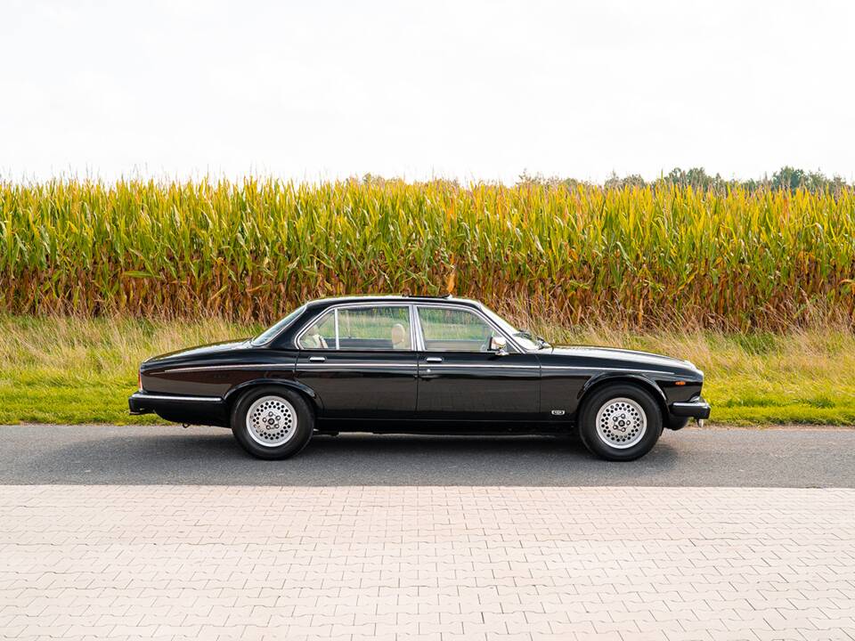 Image 3/37 of Daimler Double Six (1992)