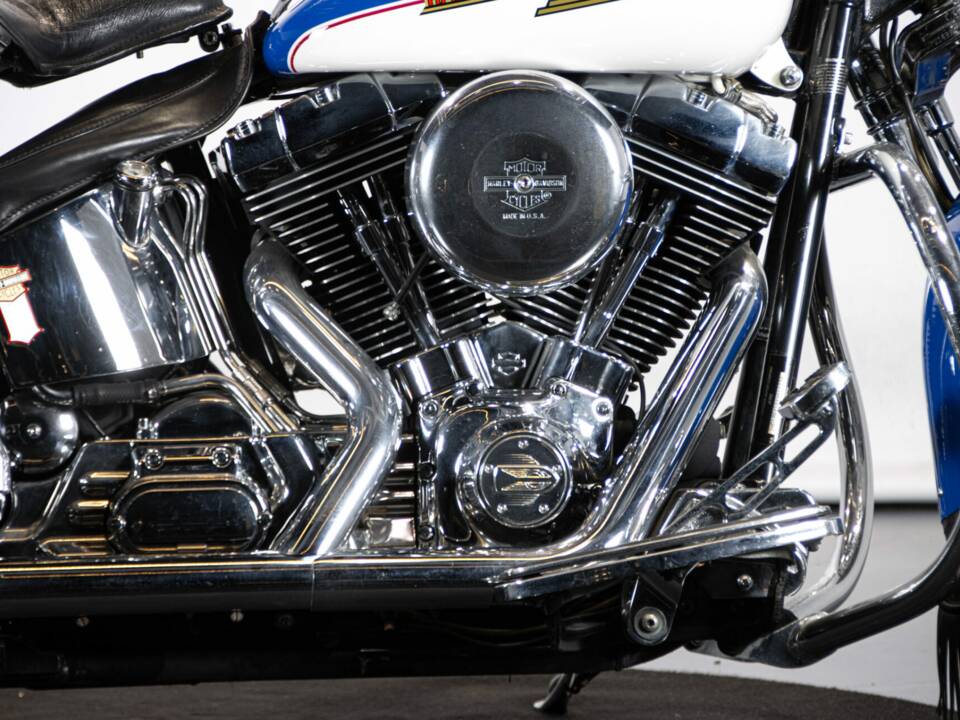 Immagine 37/50 di Harley-Davidson FXSTS Softail Springer (2000)