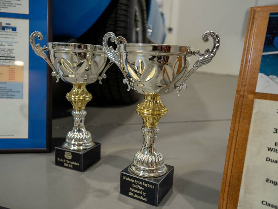 Image 17/49 of Ford Mustang Mach 1 (1970)