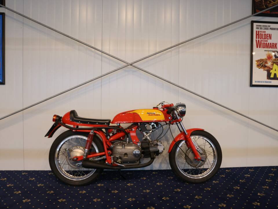Image 3/27 of Aermacchi Ala Verde (1962)