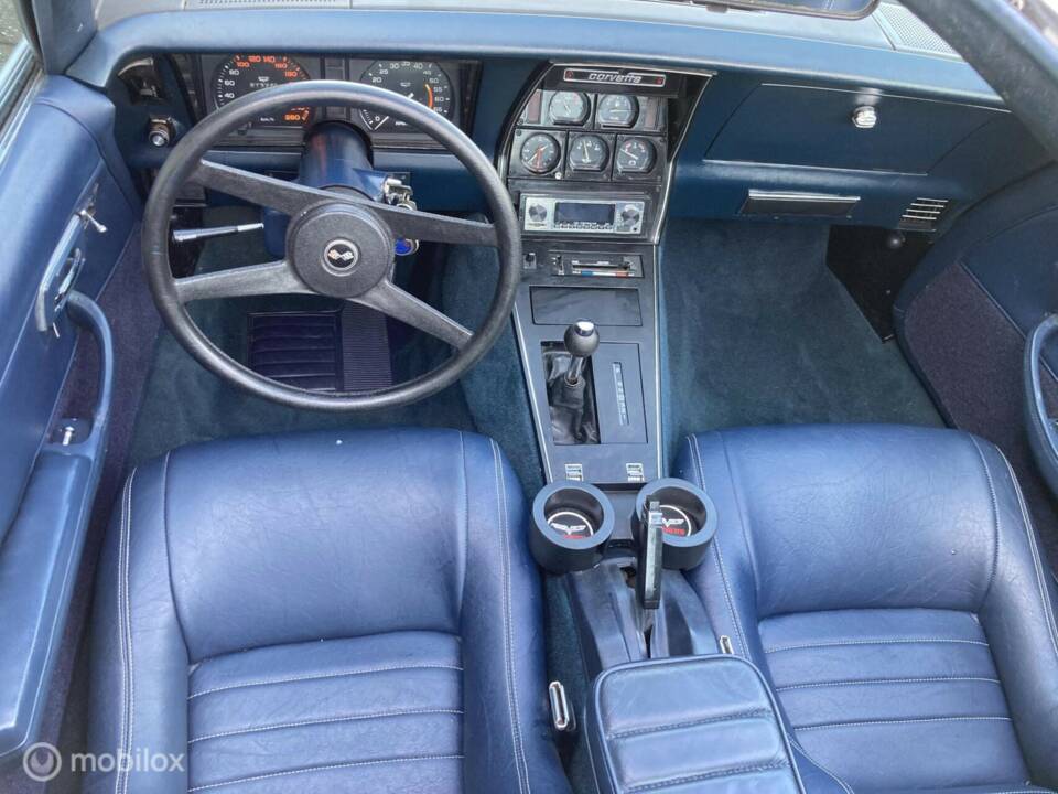 Afbeelding 38/50 van Chevrolet Corvette Sting Ray (1979)