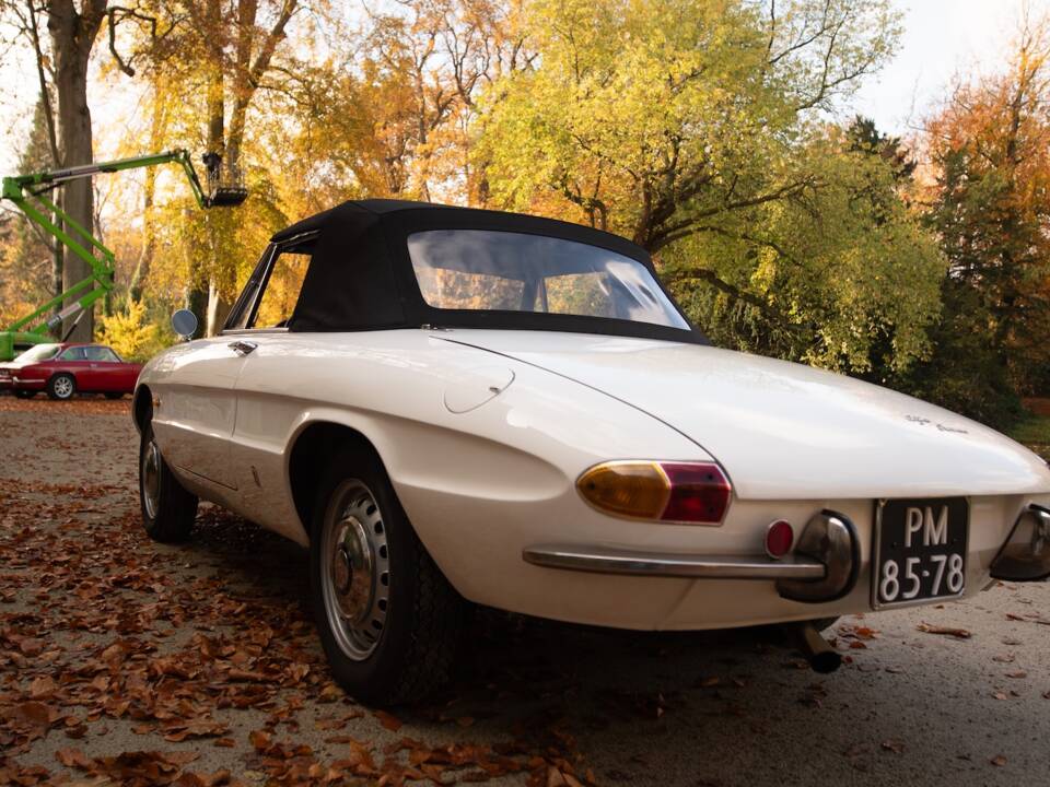 Image 8/50 de Alfa Romeo 1600 Spider Duetto (1967)