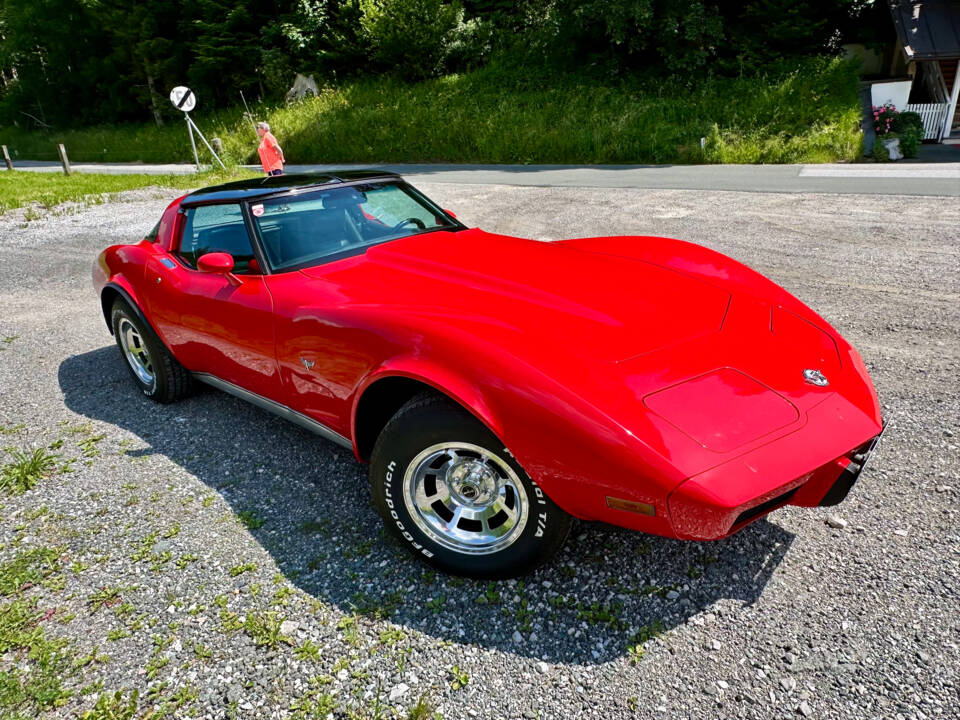 Imagen 8/34 de Chevrolet Corvette Sting Ray (1979)
