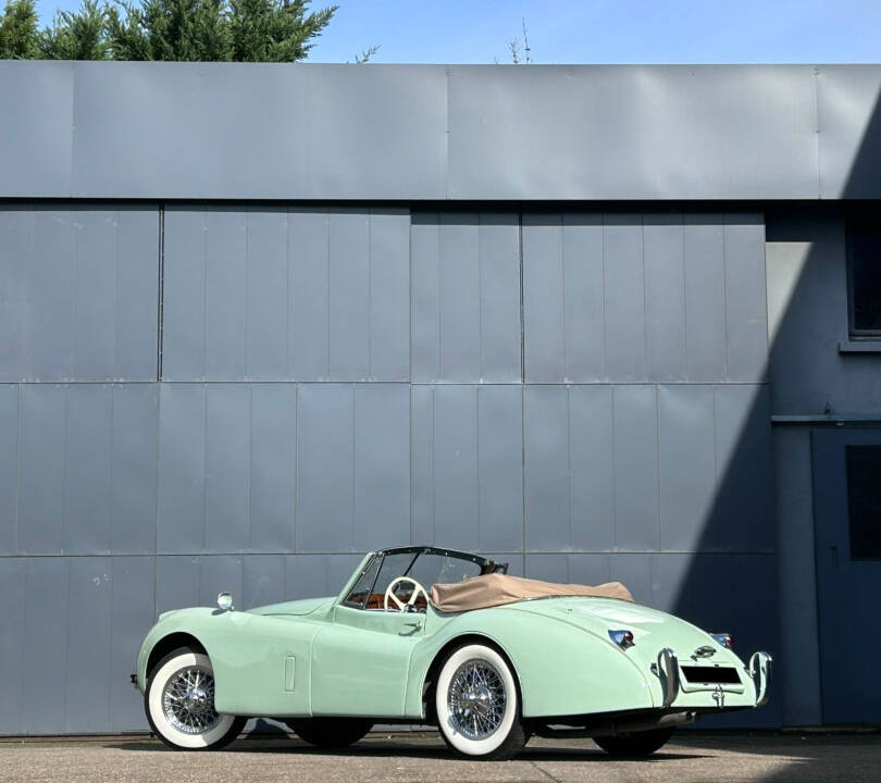 Image 11/24 of Jaguar XK 120 DHC (1953)