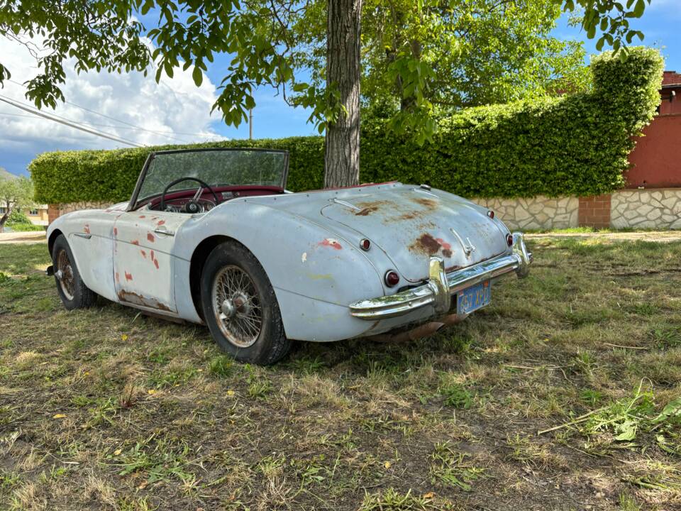 Bild 6/19 von Austin-Healey 3000 Mk I (BN7) (1960)