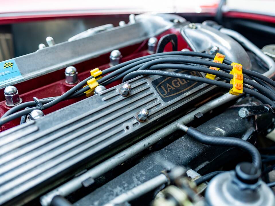 Bild 47/50 von Dax Cobra (1976)