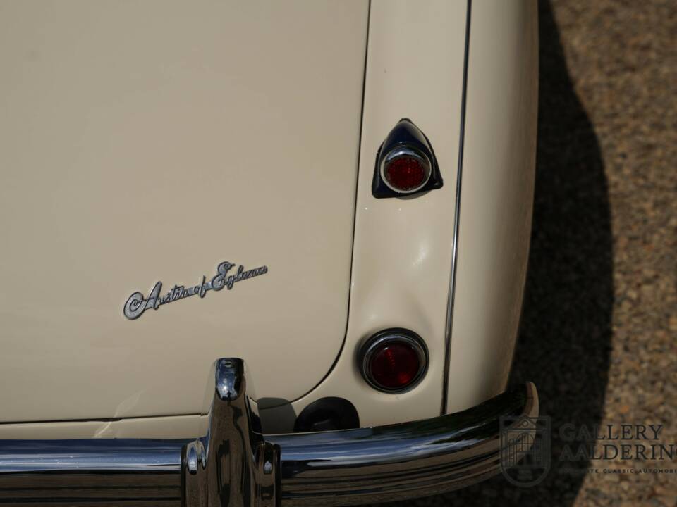 Image 23/50 of Austin-Healey 100/4 (BN1) (1954)