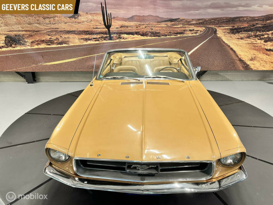 Image 11/46 of Ford Mustang 390 (1967)