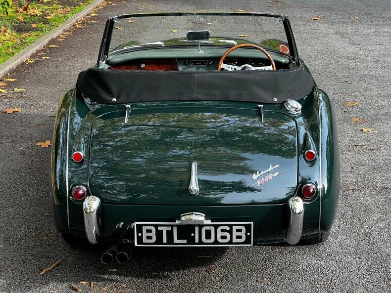 Immagine 20/50 di Austin-Healey 3000 Mk II (BJ7) (1964)