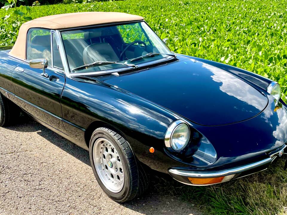 Bild 7/16 von Alfa Romeo 2000 Spider Veloce (1981)