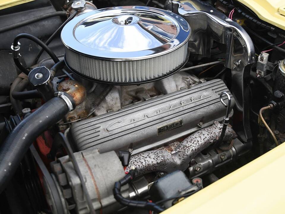 Image 39/40 of Chevrolet Corvette Sting Ray Convertible (1966)