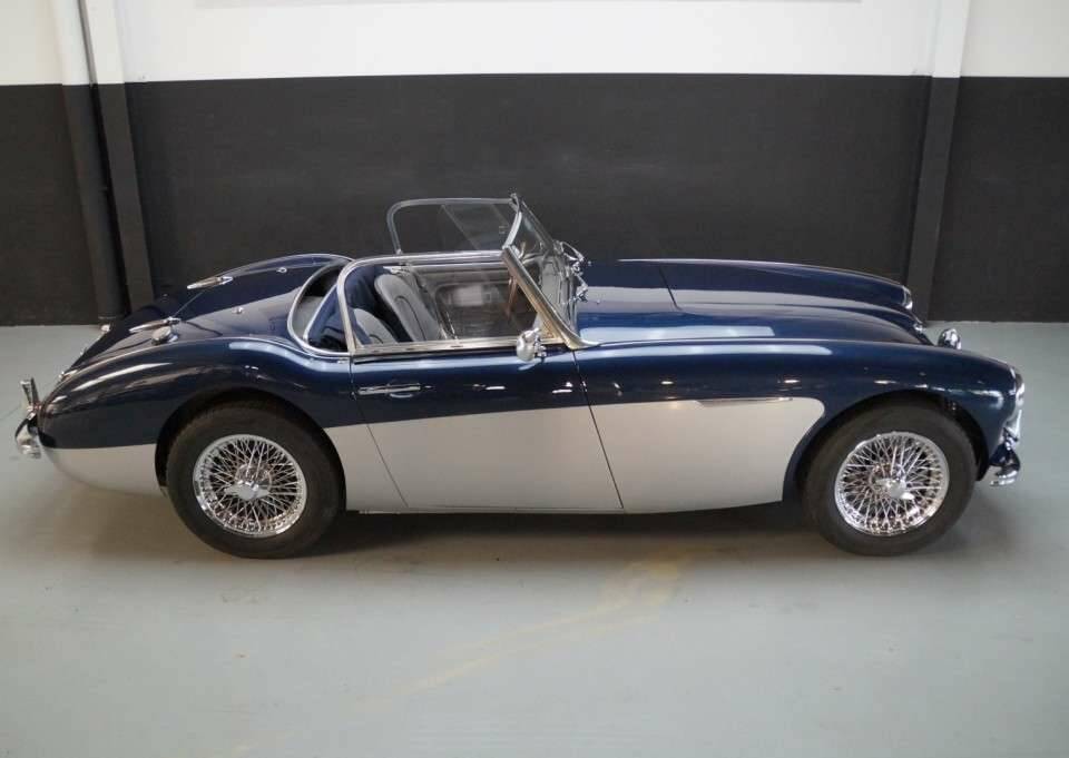 Imagen 36/50 de Austin-Healey 3000 Mk II (BN7) (1961)