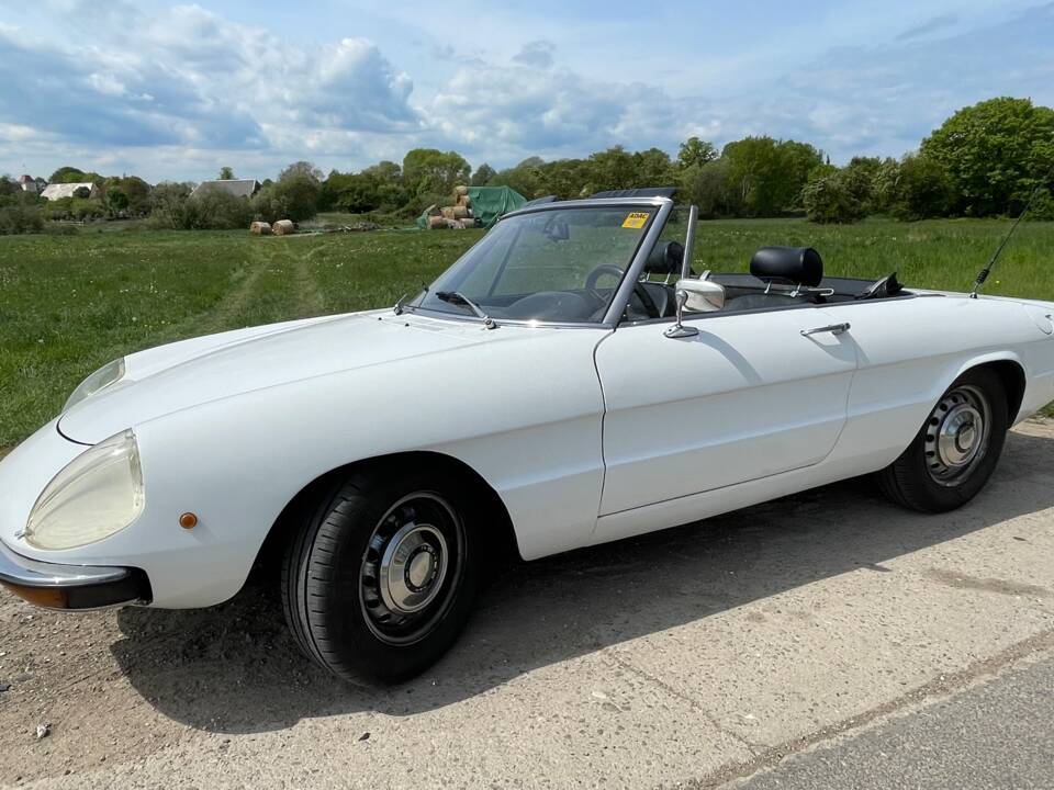 Bild 26/29 von Alfa Romeo Spider 1300 Junior (1971)