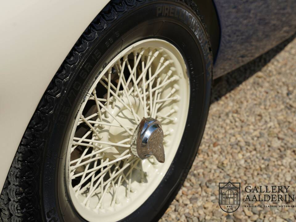 Image 39/50 of Austin-Healey 100/4 (BN1) (1954)