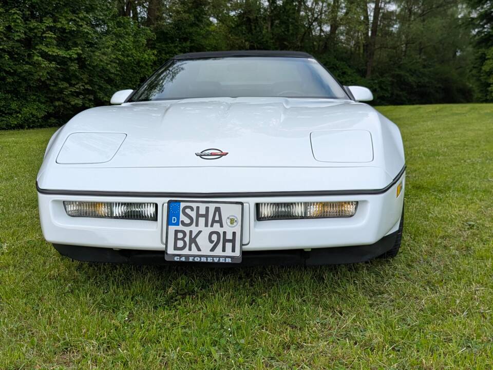 Bild 30/35 von Chevrolet Corvette Convertible (1990)