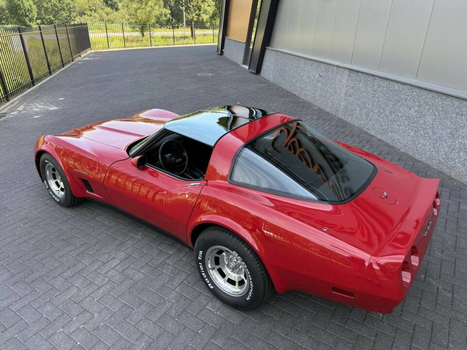 Afbeelding 21/50 van Chevrolet Corvette (1982)