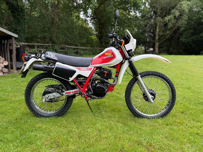 Immagine 1/41 di Honda XL 125 (1983)