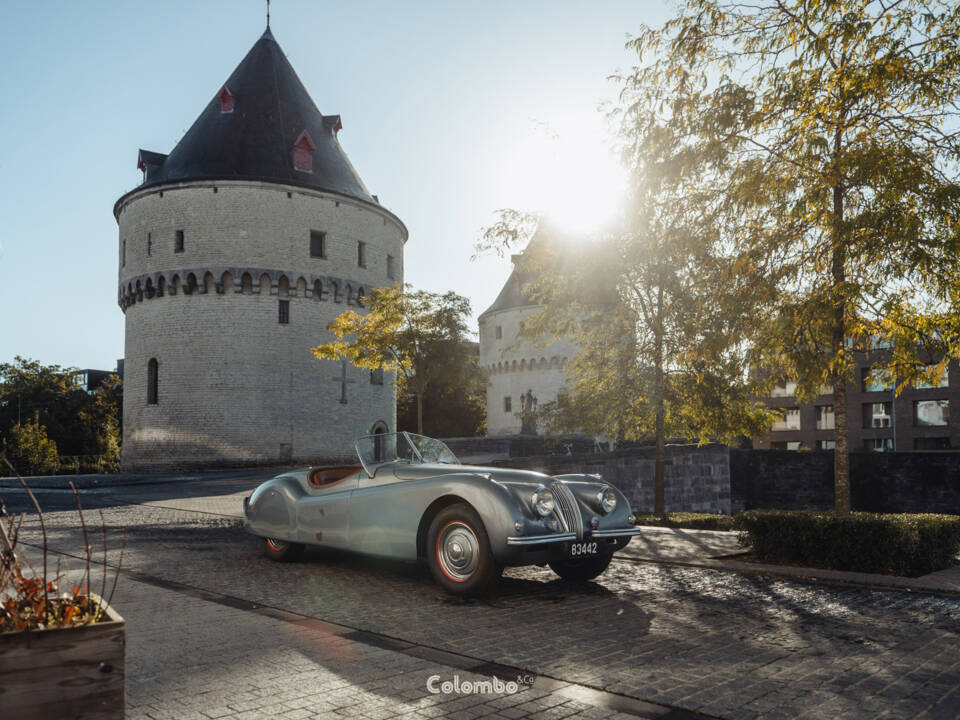 Afbeelding 6/22 van Jaguar XK 120 OTS (1950)